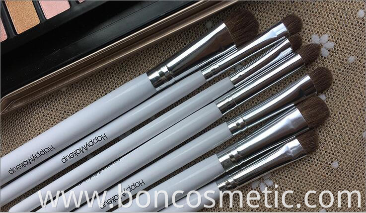 eye brushes set